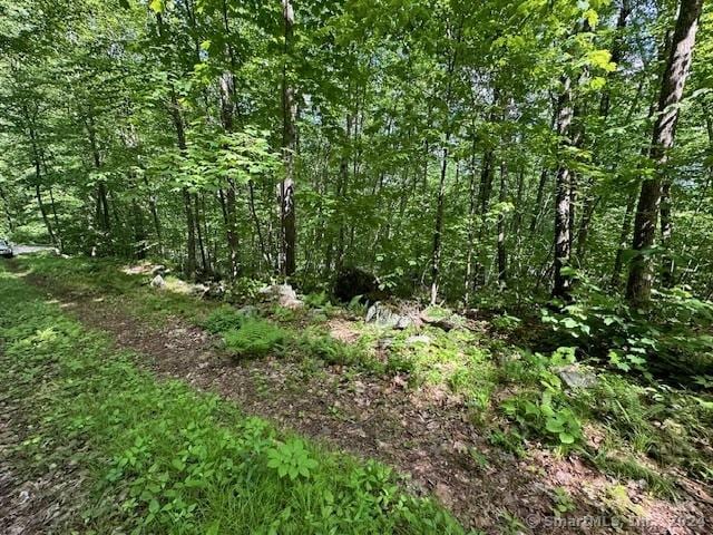 0 Couch Rd, Warren, CT 06754