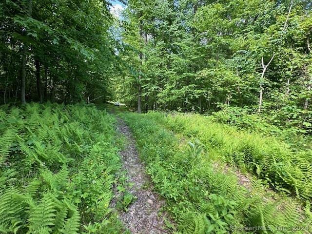 0 Couch Rd, Warren, CT 06754