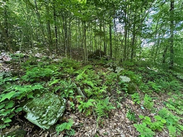 0 Couch Rd, Warren, CT 06754