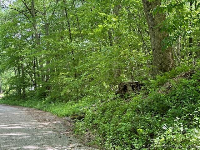 0 Couch Rd, Warren, CT 06754