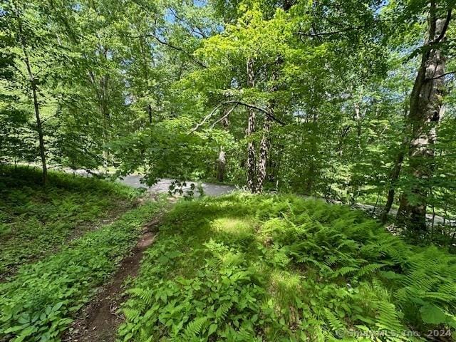 0 Couch Rd, Warren, CT 06754