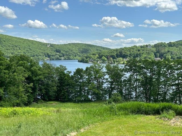 0 Couch Rd, Warren, CT 06754