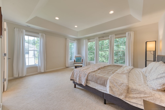 188 Sterling Dr Unit 188, Newington, CT 06111 - bedroom featuring a tray ceiling, light carpet, and recessed lighting