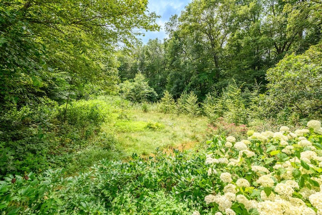 27 Tuttle Ct, Bethany, CT 06524 - view of woods