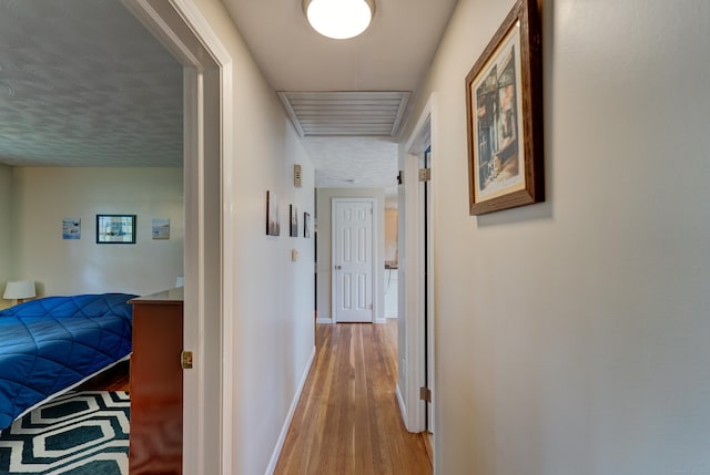 23 Sun St, Enfield, CT 06082 - corridor with light wood-style floors and baseboards