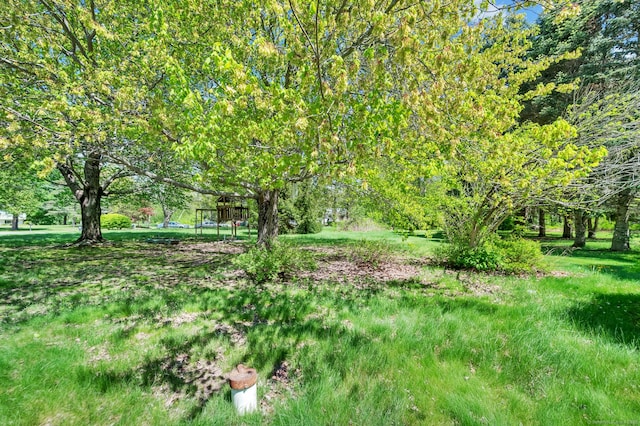 6 Victoria Dr, Colchester, CT 06415 - view of yard
