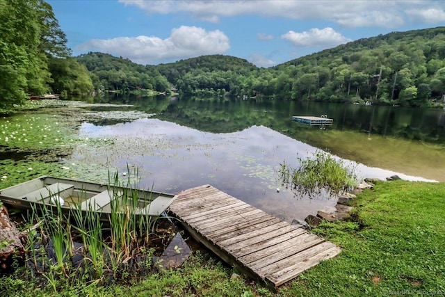 135 Green Pond Rd, Sherman, CT 06784 - dock with a wooded view and a water view