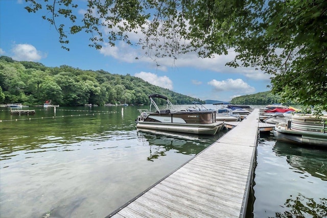 135 Green Pond Rd, Sherman, CT 06784 - dock area with a water view and a view of trees
