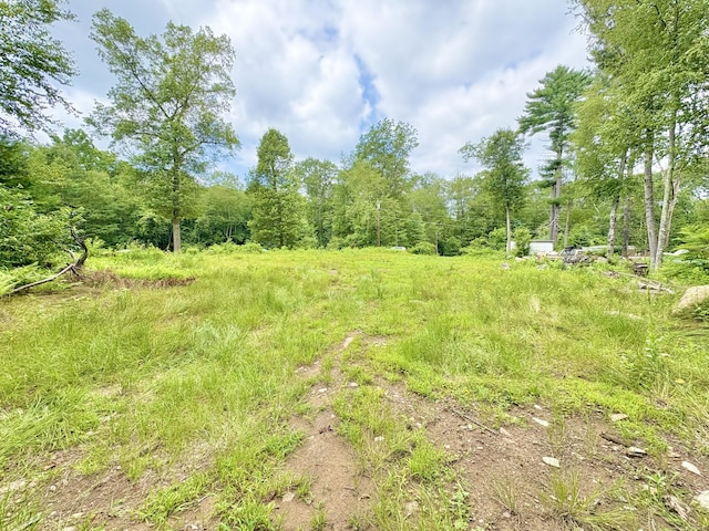 28 Bass Ln, Brooklyn, CT 06234 - photo 3