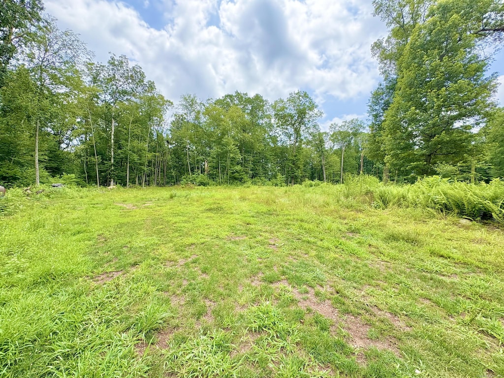28 Bass Ln, Brooklyn, CT 06234 - photo 4