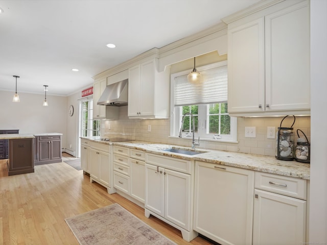 22 Rocky Ridge Dr, Trumbull, CT 06611 - kitchen featuring range hood, tasteful backsplash, black electric stovetop, light wood-type flooring, and ornamental molding