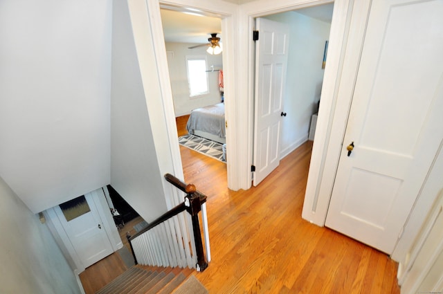 50 Taylor Rd, West Hartford, CT 06110 - photo 15