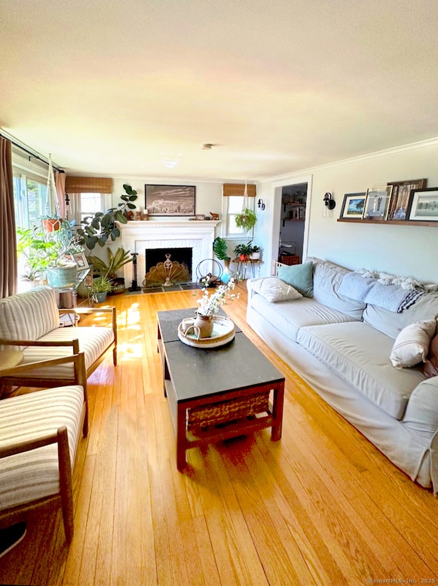50 Taylor Rd, West Hartford, CT 06110 - photo 3