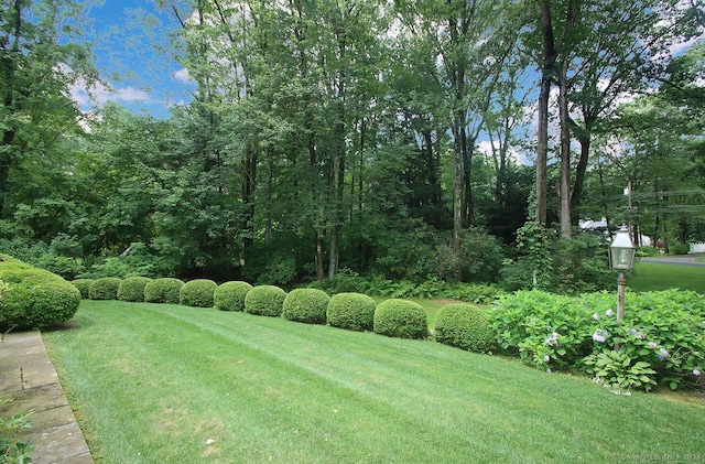 99 Tamara Cir, Avon, CT 06001 - photo 30