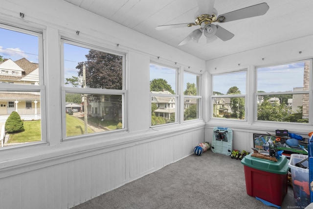 269 Olivia St, Derby, CT 06418 - unfurnished sunroom featuring carpet, healthy amount of natural light, and wooden walls