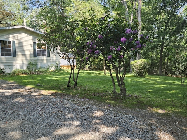 27 August Dr, Brooklyn, CT 06234 - view of grassy yard