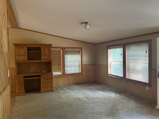 27 August Dr, Brooklyn, CT 06234 - unfurnished office featuring wood walls, light carpet, wainscoting, a textured ceiling, and vaulted ceiling