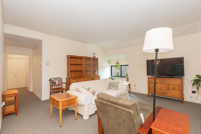 512 Heritage Vlg Unit B, Southbury, CT 06488 - living room featuring carpet floors