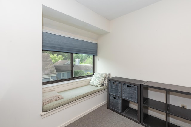 512 Heritage Vlg Unit B, Southbury, CT 06488 - sitting room with carpet