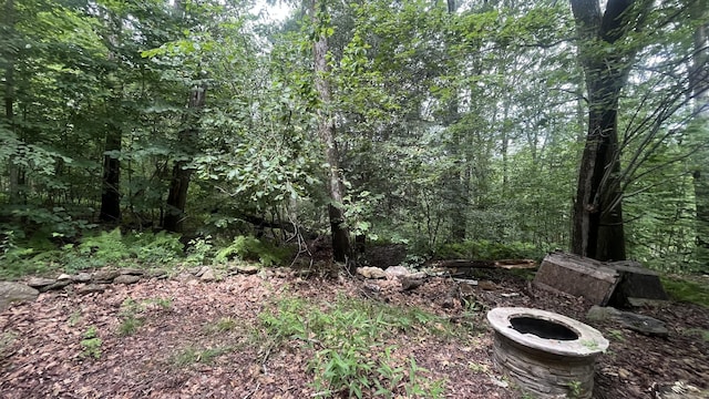 49 Ratlum Mountain Rd, Barkhamsted, CT 06063 - view of woods