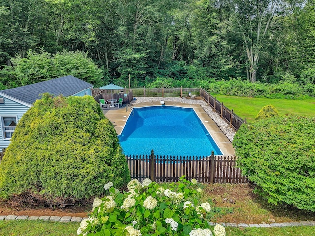 21 Briarcliffe Trl, Old Saybrook, CT 06475 - view of swimming pool featuring a patio and a view of trees