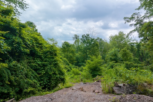 98 Hoskins Rd, Bloomfield, CT 06002