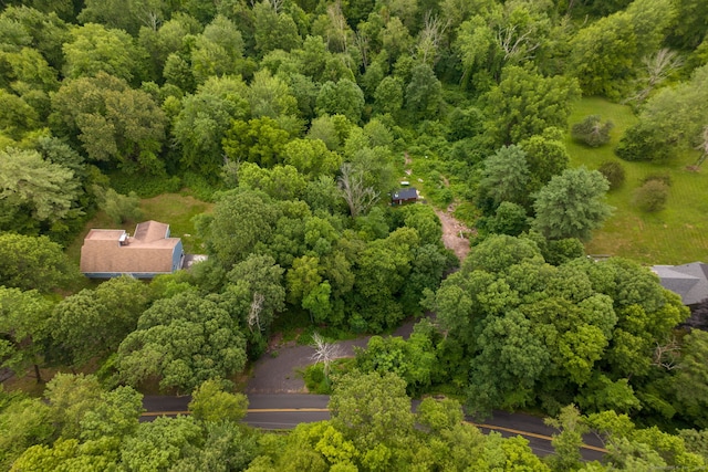 98 Hoskins Rd, Bloomfield, CT 06002