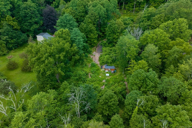 98 Hoskins Rd, Bloomfield, CT 06002