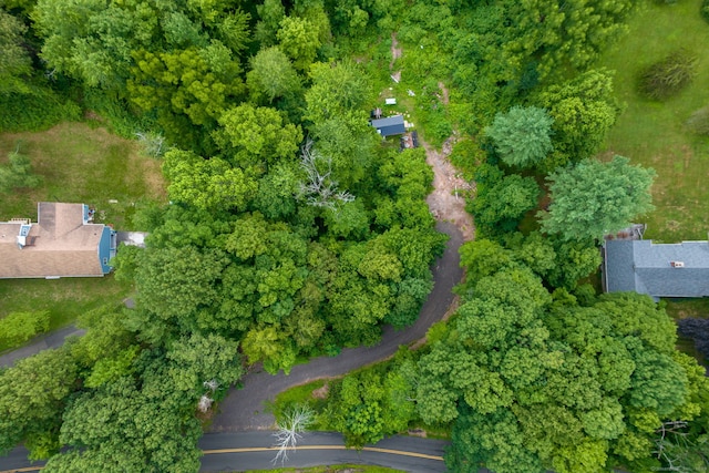 98 Hoskins Rd, Bloomfield, CT 06002