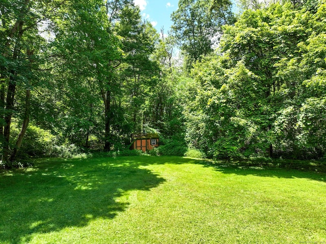 183 Schroback Rd, Plymouth, CT 06782 - view of grassy yard with a shed and a forest view