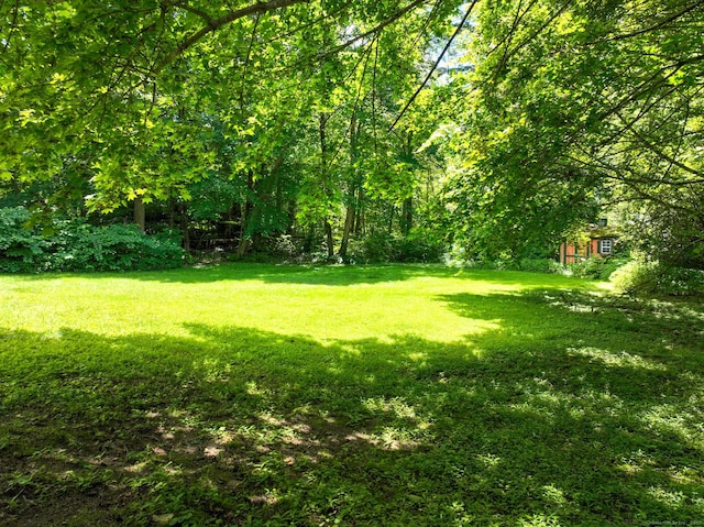 183 Schroback Rd, Plymouth, CT 06782 - view of green lawn with an outdoor structure