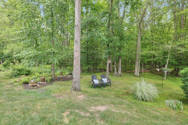 33 Wadsworth Ln Unit 33, Wallingford, CT 06492 - view of grassy yard