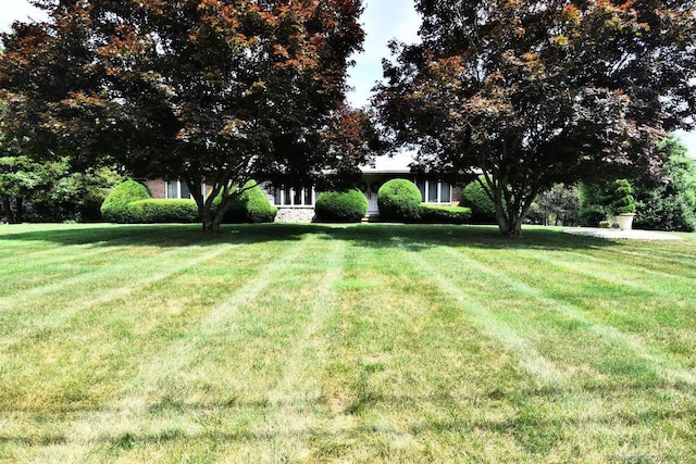 400 Williams Rd, Wallingford, CT 06492 - view of green lawn