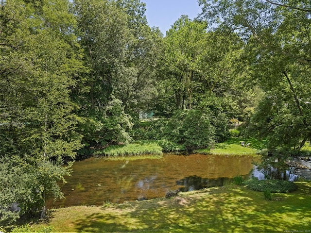 17 Huckleberry Ln, Weston, CT 06883 - photo 20