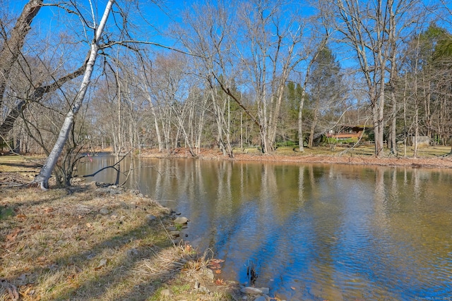 17 Huckleberry Ln, Weston, CT 06883 - photo 27