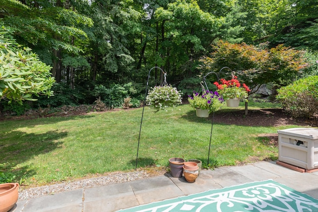 884 Heritage Vlg Unit B, Southbury, CT 06488 - photo 5