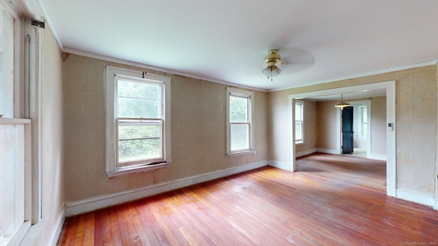 19 Cook Hill Rd, Windsor, CT 06095 - photo 10