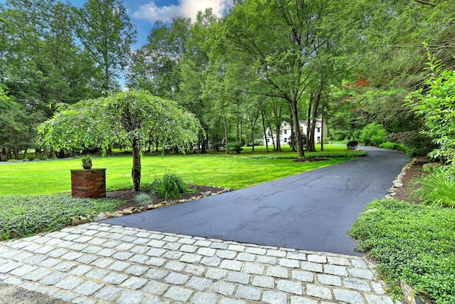 11 Sweetbriar Ln, Newtown, CT 06482 - surrounding community featuring a yard and driveway