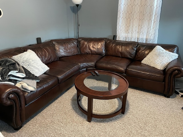699 Main St, Watertown, CT 06779 - living room featuring carpet flooring
