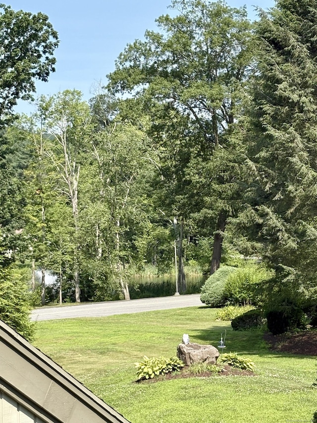 570 Heritage Vlg Unit B, Southbury, CT 06488 - photo 16