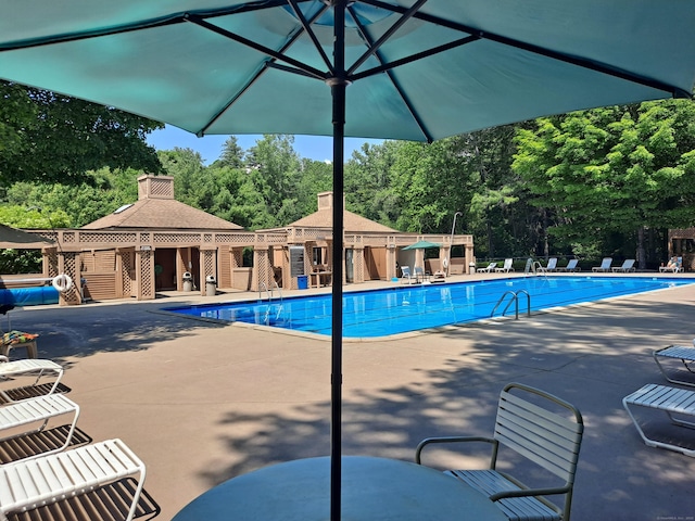 29 Great Meadow Ln Unit 29, Farmington, CT 06001 - community pool with a patio area and view of wooded area