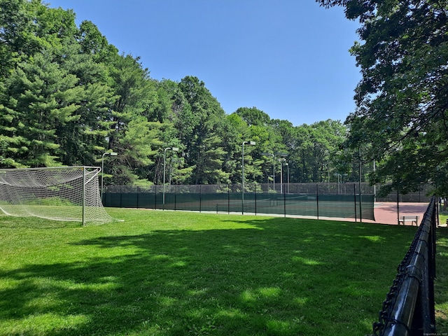 29 Great Meadow Ln Unit 29, Farmington, CT 06001 - view of yard featuring a tennis court and an area for soccer