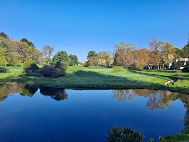 29 Great Meadow Ln Unit 29, Farmington, CT 06001 - water view with a golf course
