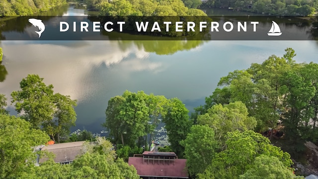 12 Sage Rd, Danbury, CT 06810 - bird's eye view of a nearby body of water and a forest