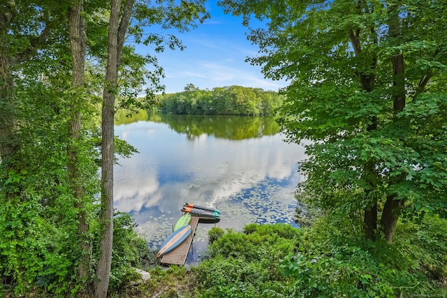 12 Sage Rd, Danbury, CT 06810 - water view featuring a heavily wooded area