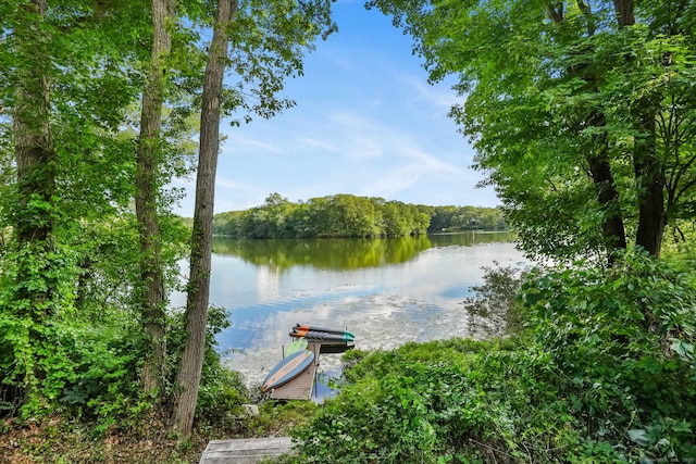 12 Sage Rd, Danbury, CT 06810 - water view with a heavily wooded area