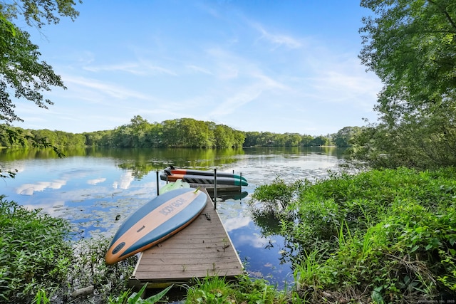 12 Sage Rd, Danbury, CT 06810 - dock featuring a water view and a view of trees