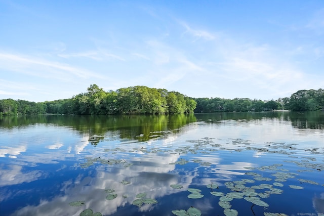 12 Sage Rd, Danbury, CT 06810 - water view featuring a forest