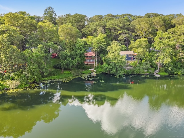 12 Sage Rd, Danbury, CT 06810 - water view featuring a heavily wooded area