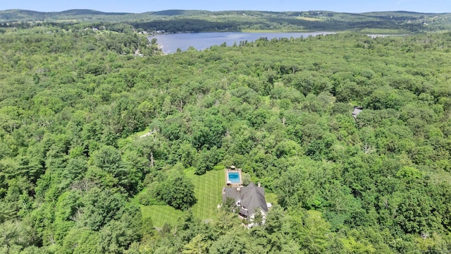 274 Sharon Tpke, Goshen, CT 06756 - aerial overview of property's location with a forest and a large body of water